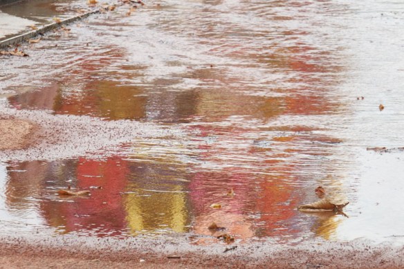 GOYARD.C.13-TERRAINDICI-L