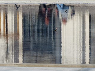 GOYARD.C.7-HABITANTS