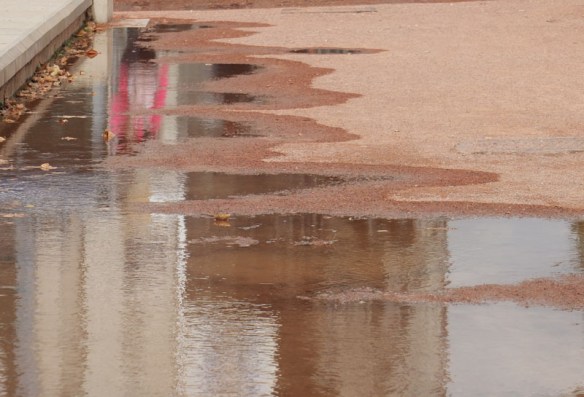 GOYARD.C.7-HABITANTSR